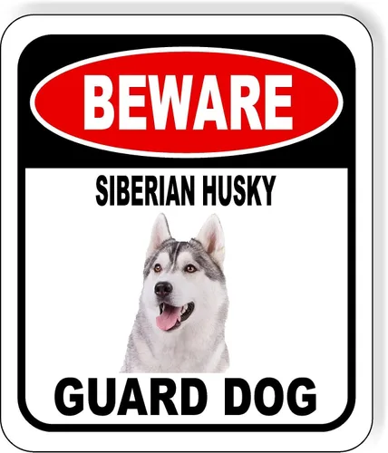 Vista 13 de BEWARE BASSETT HOUND GUARD DOG - Letrero compuesto de aluminio para exteriores, 8.5 x 10 pulgadas CUIDADO BASSETT HOUND GUARD PERRO