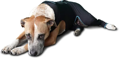 Vista 5 de BENEFAB Traje terapéutico cómodo para perros — Chaqueta ligera de infrarrojo lejano para caninos de todas las edades — Traje de compresión relajante