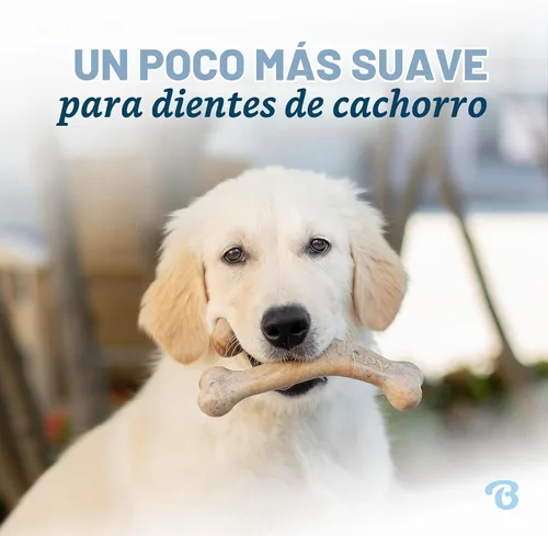 Vista 2 de Benebone Puppy Wishbone - Juguete masticable para perro, fabricado en Estados Unidos, sabor a tocino real, pequeño