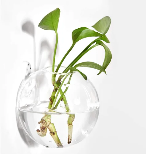 Vista 3 de Macetas colgantes de pared terrario de vidrio de aire para plantas
