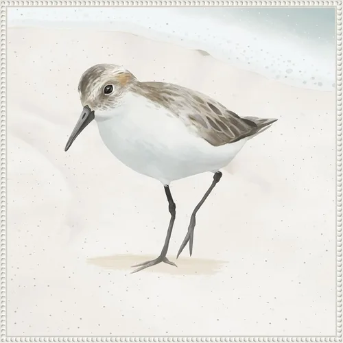 Vista 10 de Amanti Art Framed Canvas Wall Art 16x16 Sandpiper on the Beach II by Lucca Sheppard, Framed Wall Art Canvas, Animals Artwork, Modern Decor, Small