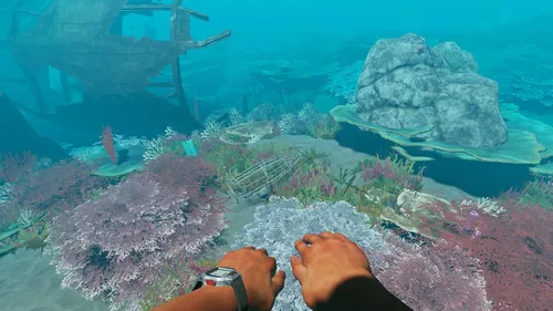 Vista 5 de Stranded Deep (Nintendo Switch)
