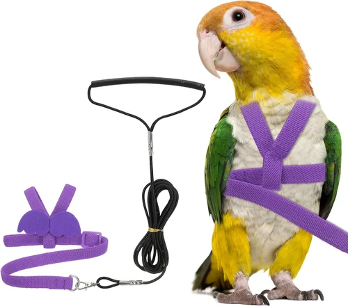 Vista 7 de Correa de arnés para pájaros, arnés ajustable para pájaros y loros para mascotas, ligera, antimordeduras, cuerda de entrenamiento de vuelo con linda