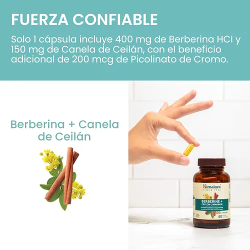 Vista 6 de Himalaya Berberina con canela de Ceilán, suplemento de hierbas para apoyar el metabolismo normal, inmune y la salud digestiva, vegano, sin gluten