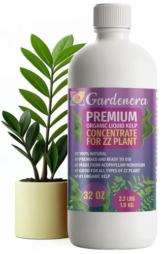 Vista 45 de GARDENERA Superalimento orgánico prémium de algas marinas y algas marinas para plantas AROID - 32 oz - Concentrado de fertilizante líquido de algas