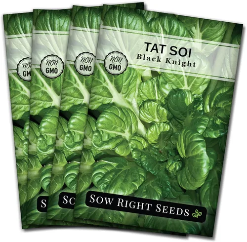 Vista 8 de Sow Right Seeds - Semillas Black Knight Tat SOI para plantar - Paquete de reliquia sin OMG con instrucciones para plantar un huerto casero - Mostaza