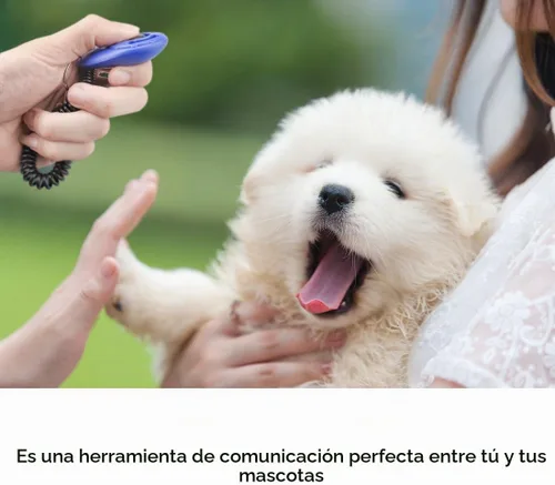 Vista 4 de Diyife Clicker de entrenamiento para perros, [4 piezas, multicolor] Clicker para perros para entrenamiento, entrenamiento de perros con correa