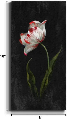 Vista 8 de Renditions Gallery Master Botanical II - Arte de pared, decoración en lienzo de alta calidad con envoltura de galería, listo para colgar, 16