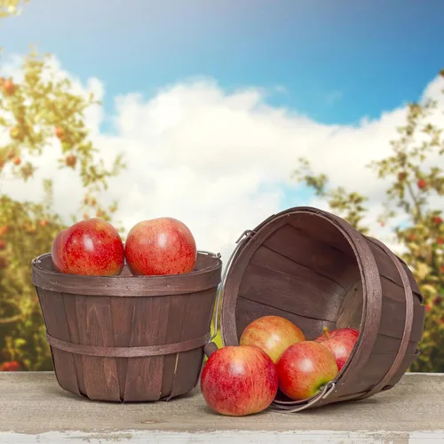 Vista 2 de Cornucopia Brands Cestas redondas de madera (paquete de 2, marrón oscuro); cubos de madera para frutas con asa, capacidad de galón
