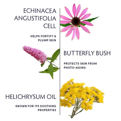 Vista 3 de Naturopathica Suero potenciador de células madre vegetales, suero facial antienvejecimiento diario para suavizar líneas finas, suero facial