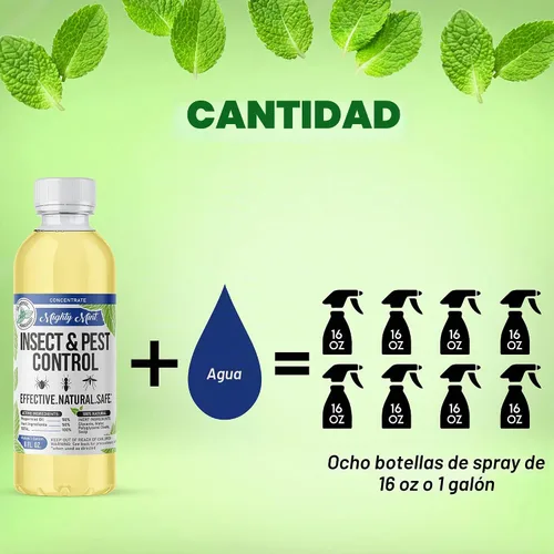 Vista 3 de Mighty Mint Concentrado repelente de insectos de aceite de menta – Control natural de insectos en interiores y exteriores para arañas, hormigas