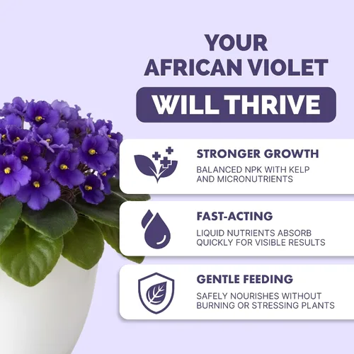 Vista 2 de Fertilizante violeta africana, alimento vegetal líquido para más flores, 1 galón