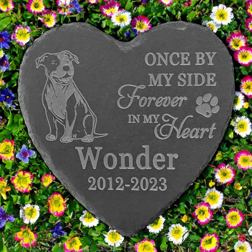 Vista 19 de Regalos conmemorativos de American Staffordshire Terrier, piedra de terrier estadounidense de Staffordshire, regalos de pérdida de American