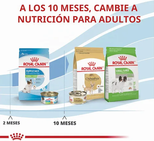 Vista 6 de De Royal Canin, Size Health Nutrition, comida seca para cachorros extra pequeños, comida para perros