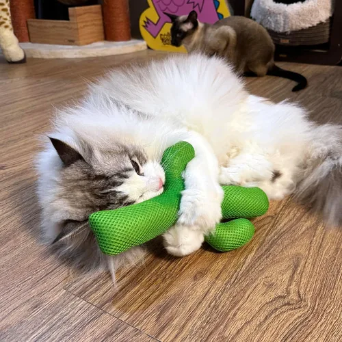 Vista 6 de TTcat Almohada grande de juguete de cactus Silvervine para gatos, juguete masticable de malla duradera para gatos de interior, juguete interactivo