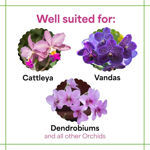 Vista 3 de Grow More Fertilizante multiusos para orquídeas 20-20-20 para mantenimiento del suelo durante todo el año, 10 onzas de fertilizante alimentario