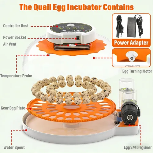 Vista 7 de Incubadora de huevos de codorniz con girador automático y control de humedad, incubadora de aves capaz de incubar 40 huevos de codorniz, incubadoras