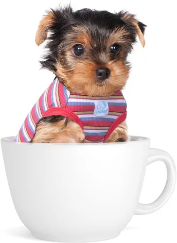 Vista 10 de Camisetas a rayas para perros y gatos, 102 % algodón, para perros y gatos pequeños, ropa sin mangas para cachorros para Chihuahua, verde Yorkie
