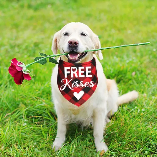 Vista 2 de Paquete de 2 bandanas para perro de San Valentín, bandanas para el día de San Valentín, bufanda, bandanas para el día de San Valentín, trajes