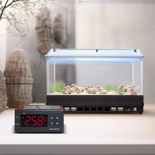 Vista 2 de Inkbird -Controlador digital multiuso de temperatura, termostato en grados Fahrenheit y Centígrados con sensor, 2 relés
