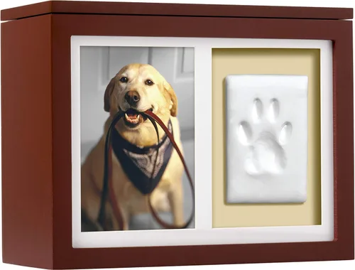 Vista 14 de Pearhead Urna de cerámica para mascotas Forever in Our Hearts, Memorial Urna Gold My Heart