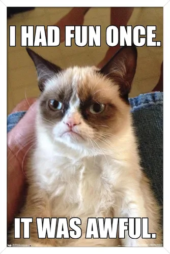 Vista 13 de Trends International Grumpy Cat - Póster de pared divertido, 22.375 x 34 pulgadas, versión enmarcada plateada Versión con marco plateado