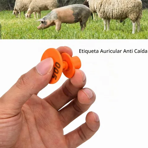 Vista 3 de 100PCS Ganado Etiquetas de oído para oveja, cabra, ganado, cerdo Naranja