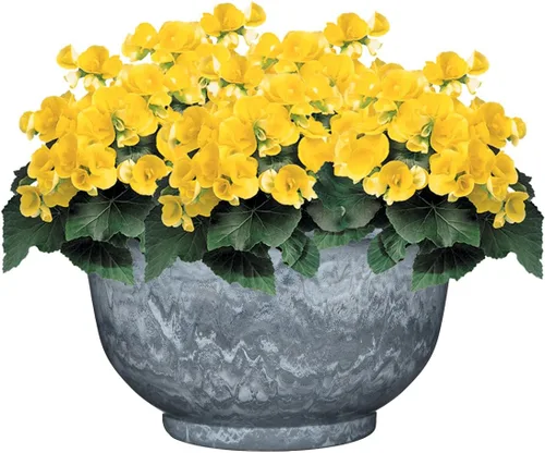 Vista 2 de Classic Home and Garden - Maceta veneciana profunda de 12.5 pulgadas, granito gris