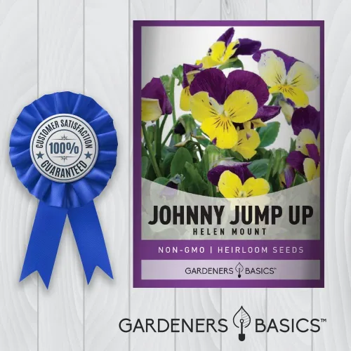 Vista 6 de Violet, Johnny Jump Up - Semillas de flores para plantar, paquete de semillas de flores anuales de polinización abierta, variedad sin OMG, semillas