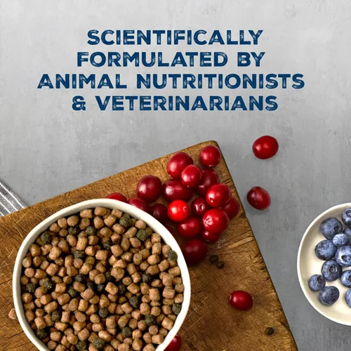 Vista 8 de Blue Buffalo Wilderness - Dieta Evolutiva Natural de la Naturaleza, Alimento Seco Natural para Gatos Adultos Alto en Proteínas y Sin Granos, Sabor