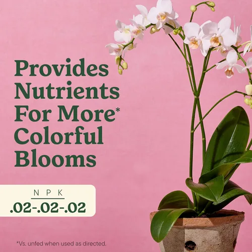 Vista 4 de Miracle-Gro - Rocío de alimentos para plantas de interior para orquídeas, 8 onzas líquidas (paquete de 2) Alimento vegetal de orquídeas Niebla