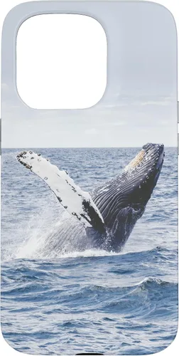 Vista 14 de Whale Case for iPhone 17