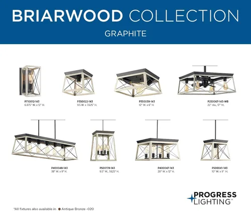 Vista 17 de Progress Lighting Briarwood Collection - Lámpara de techo de 1 luz, lámpara de techo empotrada para luces interiores de cocina, pasillo, dormitorio