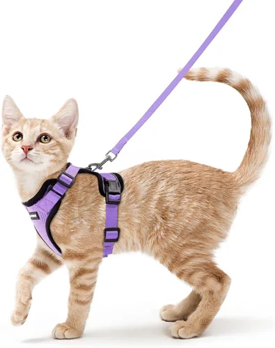 Vista 80 de rabbitgoo Cat Harness and Leash Set, Escape Proof Vest, XXS, Berry Pounce Soft Breathable Mesh, No-choke Adjustable Fit, Snap Buckles, Sturdy