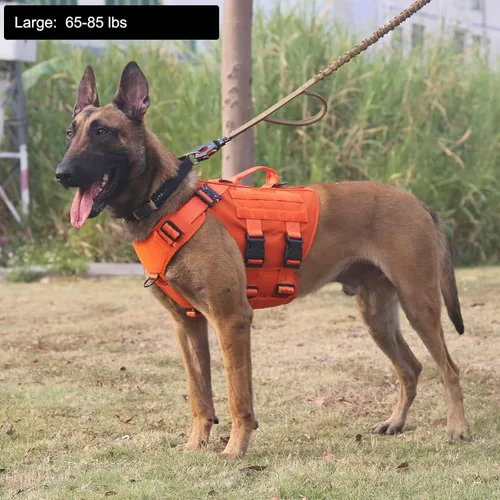 Vista 2 de ICEFANG GN3 - Arnés táctico para perros con 6 hebillas, chaleco Molle con asa, cobertura de 3/4 del cuerpo, panel de gancho y bucle para parche