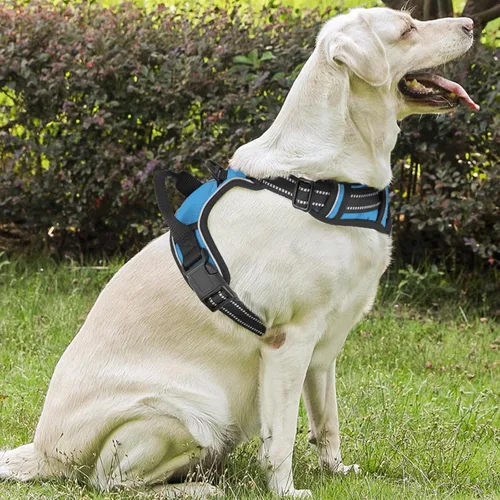 Vista 3 de Arnés reflectante para perro, arnés de chaleco sin tirones con asa, arnés ajustable y acolchado suave para mascotas para perros grandes, azul cielo