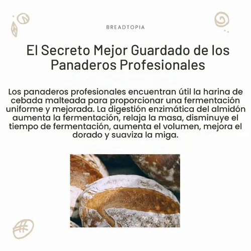 Vista 3 de breadtopia diastatic Cebada En Polvo – Orgánica