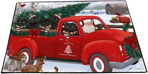 Vista 24 de Doggie of the Day Black Cats Floor Mat - 4th of July Independence Day - Best Dog Doormat - Protector Decor - Unique Portrait Art - Premium Quality