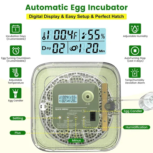 Vista 5 de Incubadora de 12 huevos con giro automático, recarga automática de agua y control de temperatura/humedad, además de guía de eclosión, criador