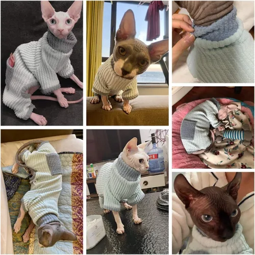 Vista 6 de Ropa para gatos sin pelo, suéter de algodón, transpirable, otoño e invierno, ropa cálida para gato, chaleco de cuello alto, ropa para Sphynx
