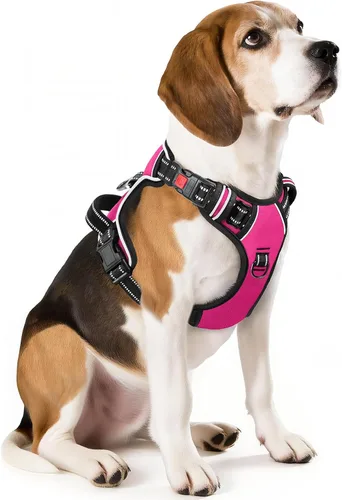 Vista 37 de Timos Arnés para perro de tamaño pequeño, arnés sin tirones para mascotas con cuello a presión bloqueable, chaleco reflectante para perro, sin