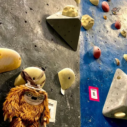 Vista 7 de Bonita bolsa de tiza para levantar, gimnasio y escalada en roca, cubo grande de tiza con cinturón ajustable, bolsa de polvo de agarre para boulder