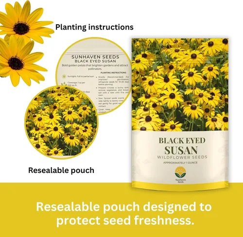 Vista 2 de Black Eyed Susan Seeds – Más de 100.000 semillas – Paquete resellable extra grande de 1 onza – Semillas de flores silvestres Rudbeckia hirta sin OMG