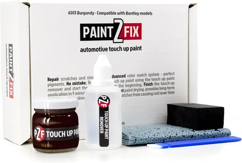 Vista 47 de 6061 - Kit de pintura de retoque satinado blanco para reparación de arañazos y virutas Bentley, 0.84 onzas líquidas (0.8 fl oz)