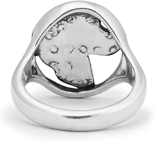 Vista 4 de Dazzling Paws Jewelry - Anillo de plata de ley y oro