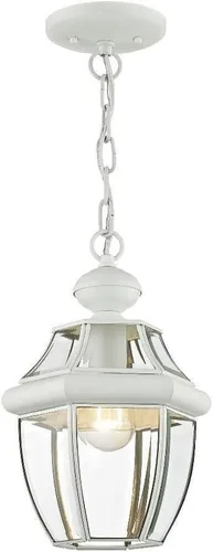 Vista 11 de Livex Lighting 2152-01 Monterey - Farol colgante para exteriores, 1 luz, latón antiguo