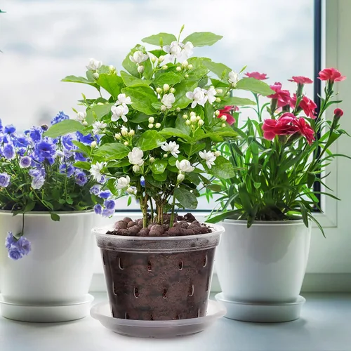 Vista 4 de 3pcs Plastic Orchid Pots and Saucer Set with Drainage Holes