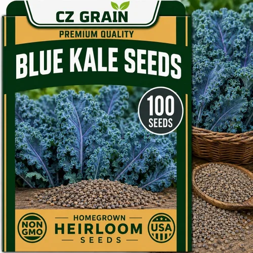 Vista 66 de CZ Grain Semillas para plantar, 40 pequeñas mezclas de calabaza