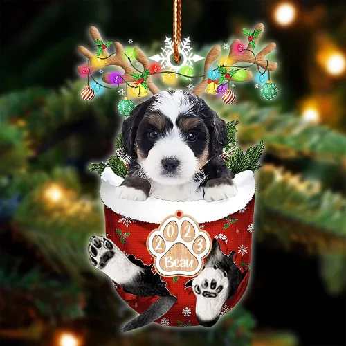 Vista 12 de NAZENTI Adorno Navideño de Bolsillo Personalizado de Affenpinscher en la Nieve, Adorno de Forma Acrílica de Perro, Adorno de Navidad 2023, Adorno