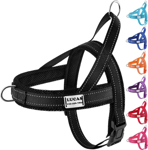 Vista 11 de Juego de correa de arnés para perro personalizado sin tirones con número de teléfono con nombre personalizado Reflective Breathable Heavy Duty